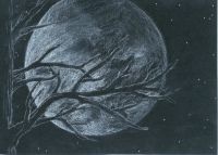 branch